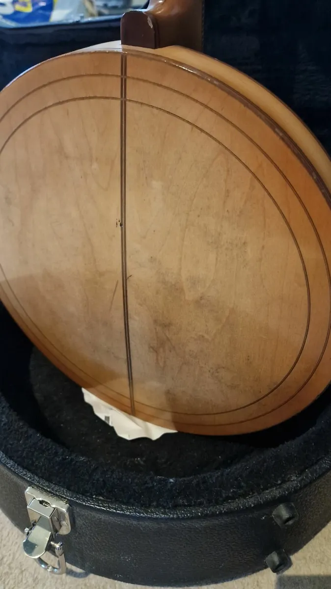 Beautiful Antique Banjo - Image 4