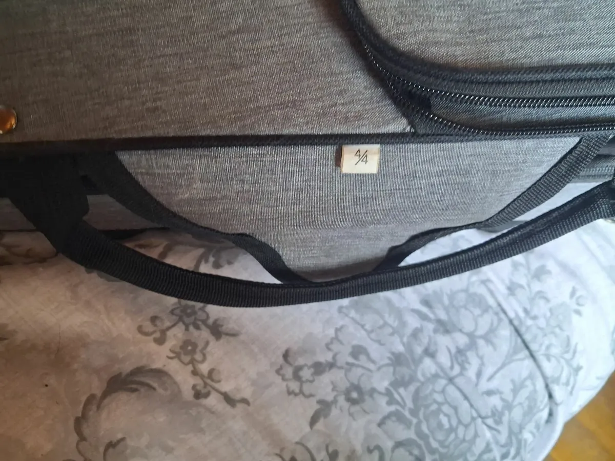 Fiddle case - Image 1