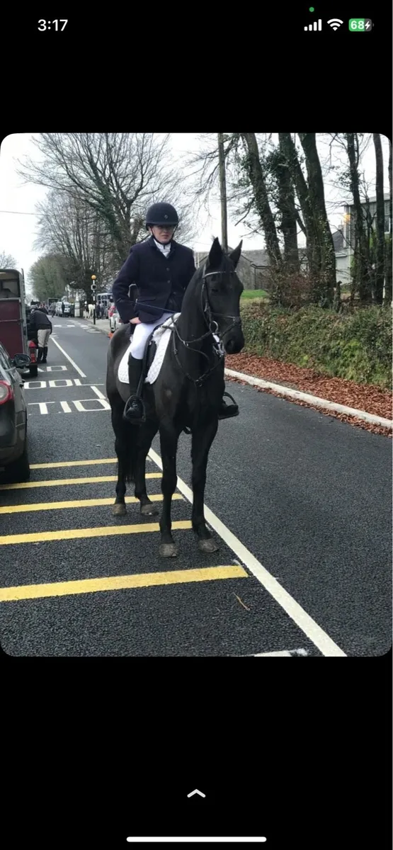 Pony - Image 2