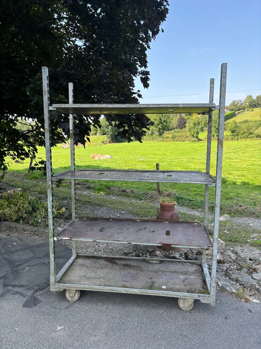Dutch trolleys - Image 1