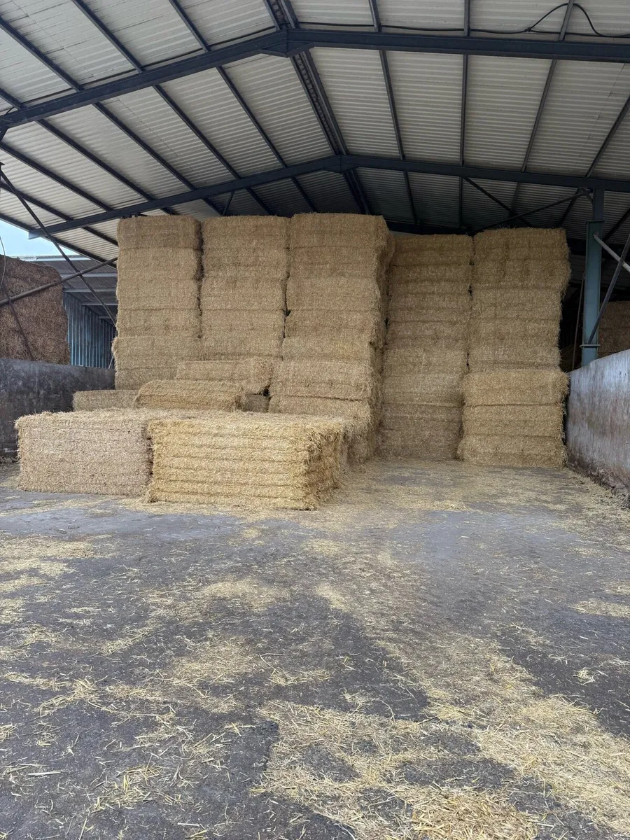 Handy loads  straw & hay  delivered - Image 3