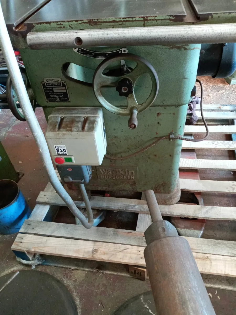 Wadkin 12" AGS Table Saw - Image 3