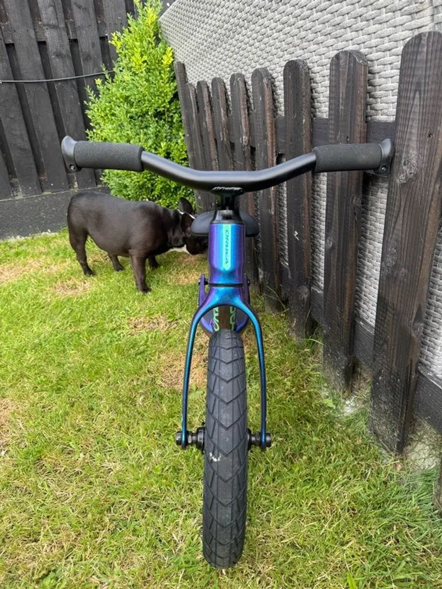 Orbea Balance Bike - Image 3