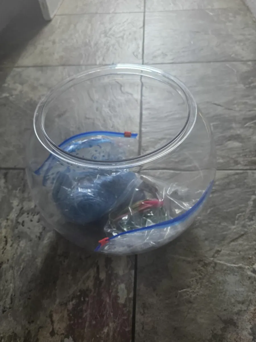 Fish bowl - Image 1