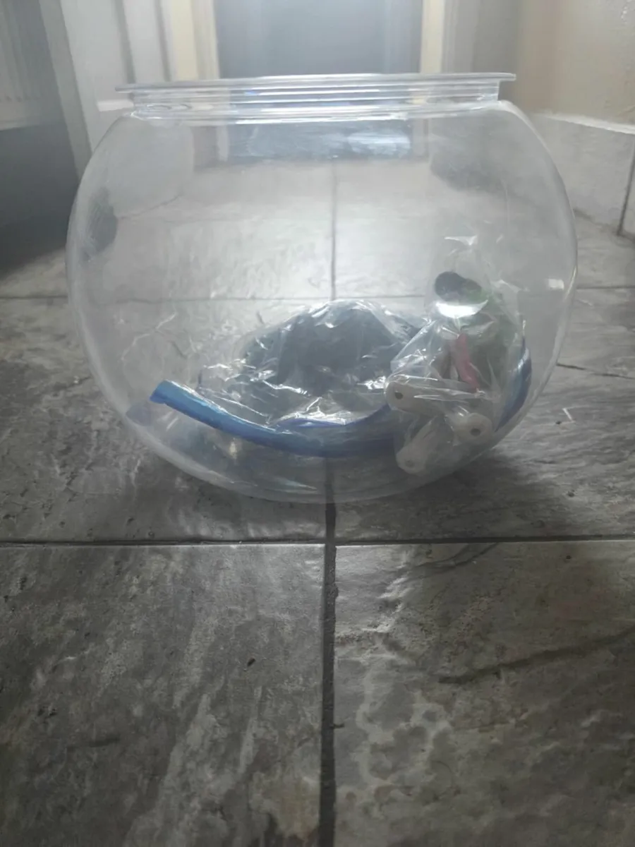Fish bowl - Image 2