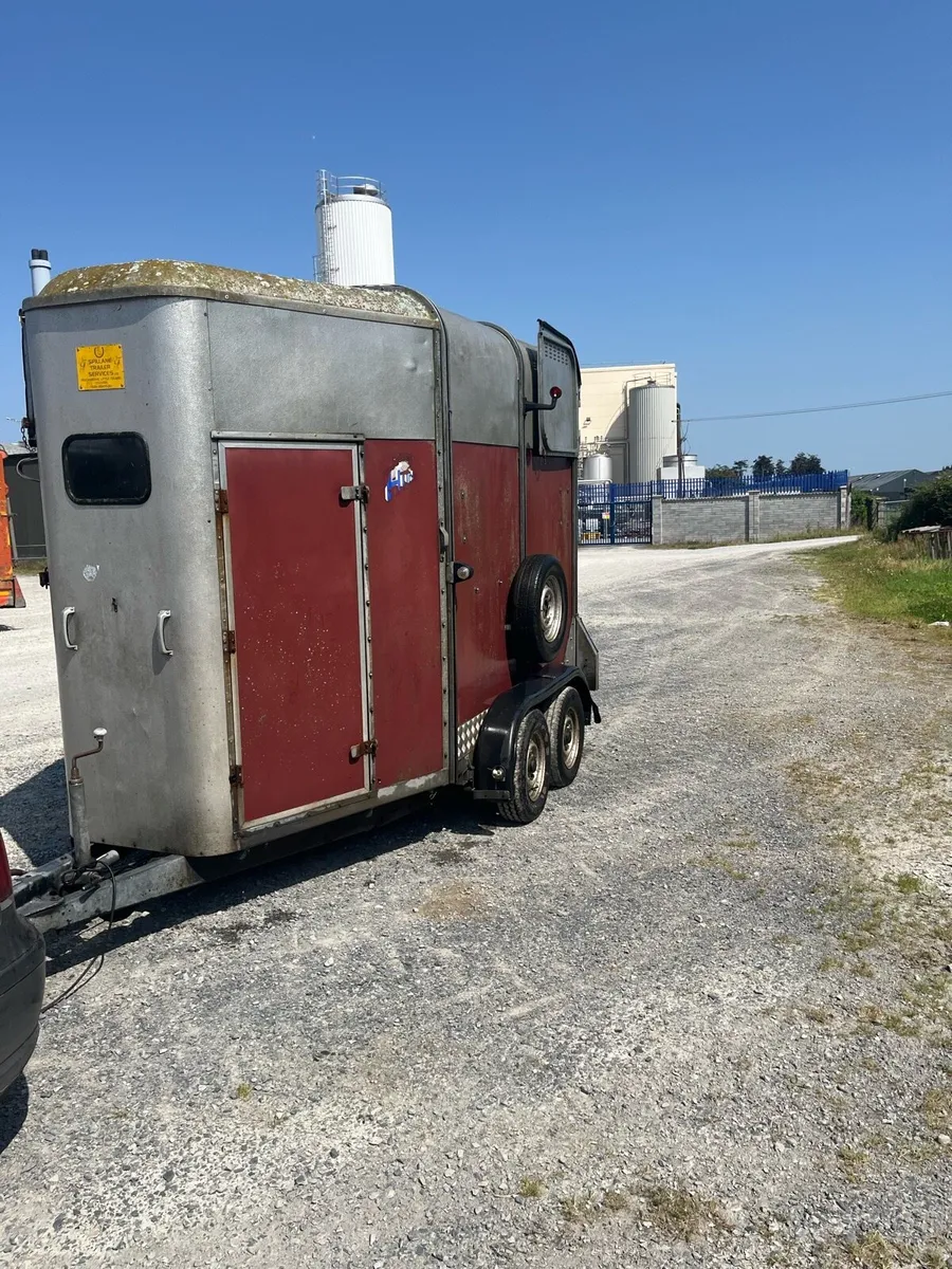 Ivor Williams 505 horse box - Image 2