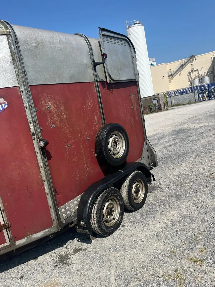 Ivor Williams 505 horse box - Image 3