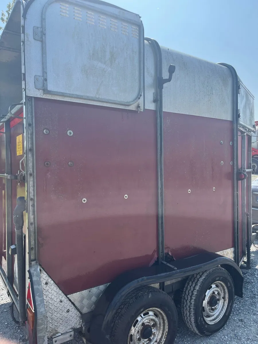 Ivor Williams 505 horse box - Image 4