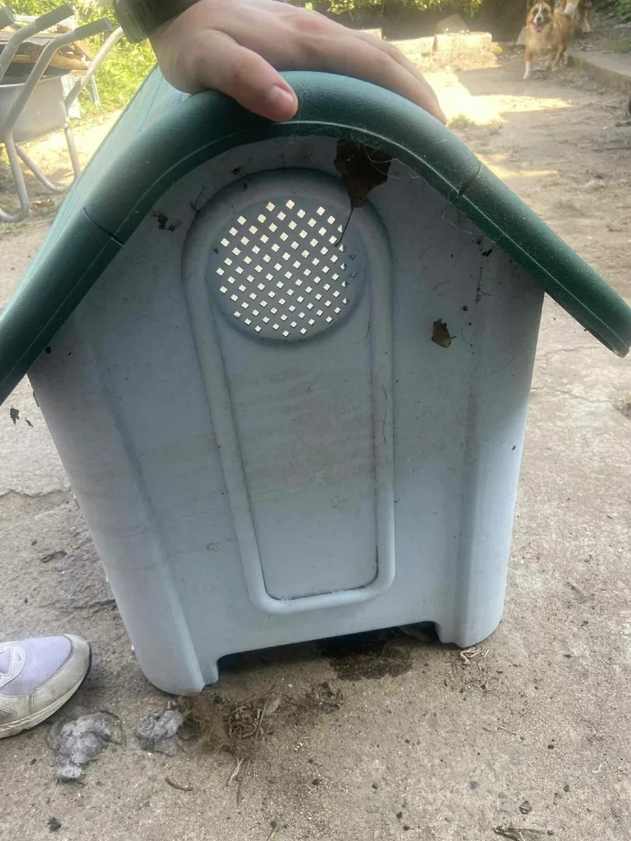 Dog crate and house - Image 1
