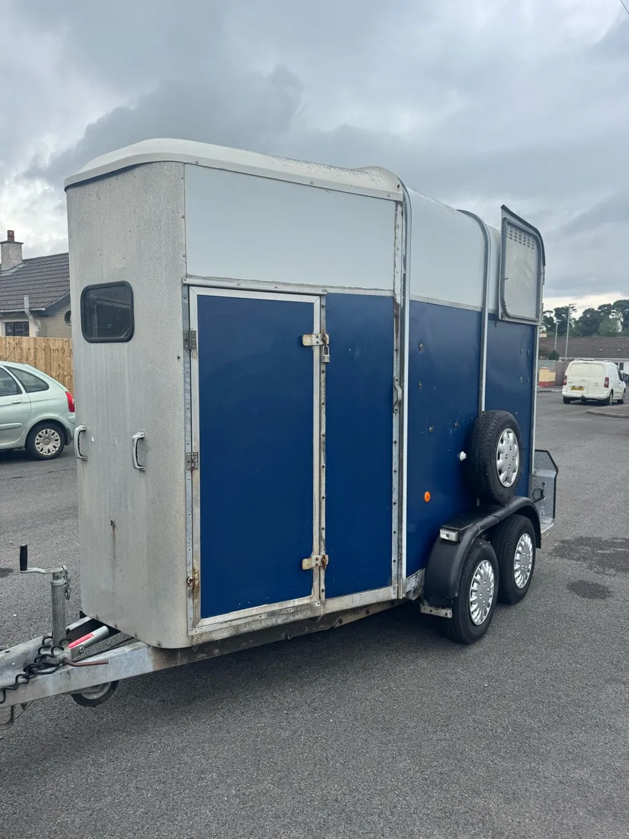 Ifor Williams 505 Horse box - Image 1