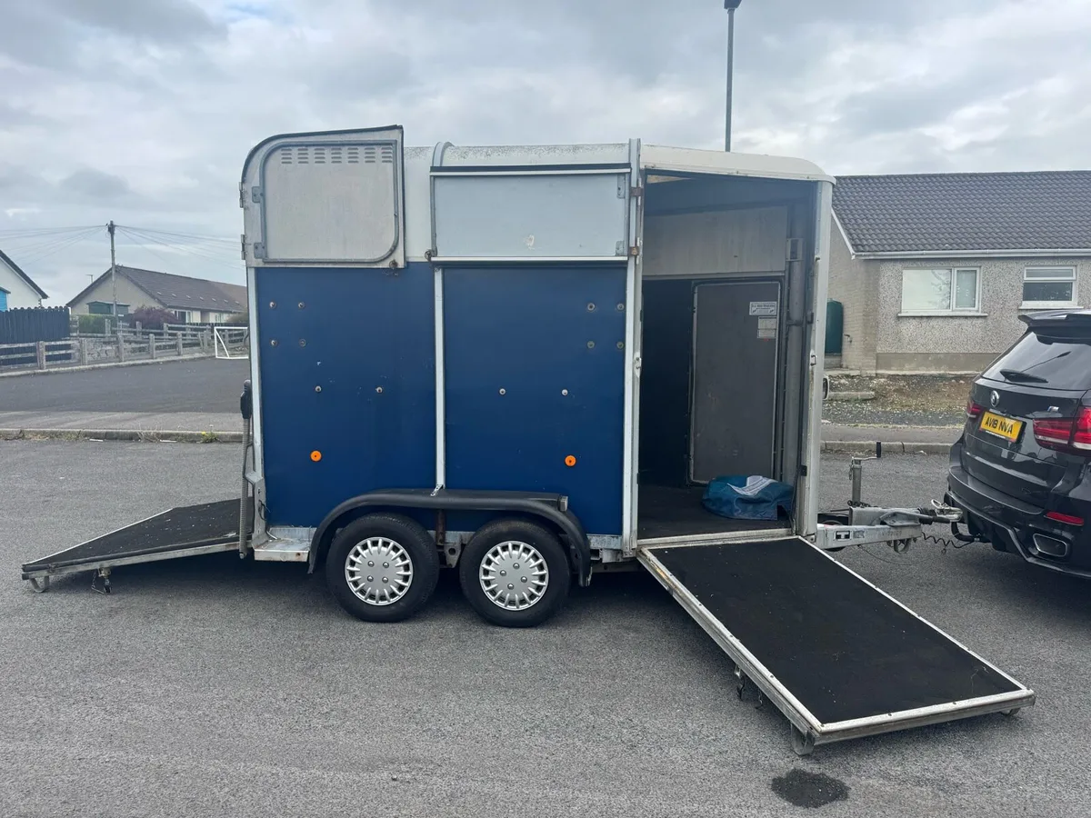 Ifor Williams 505 Horse box - Image 3