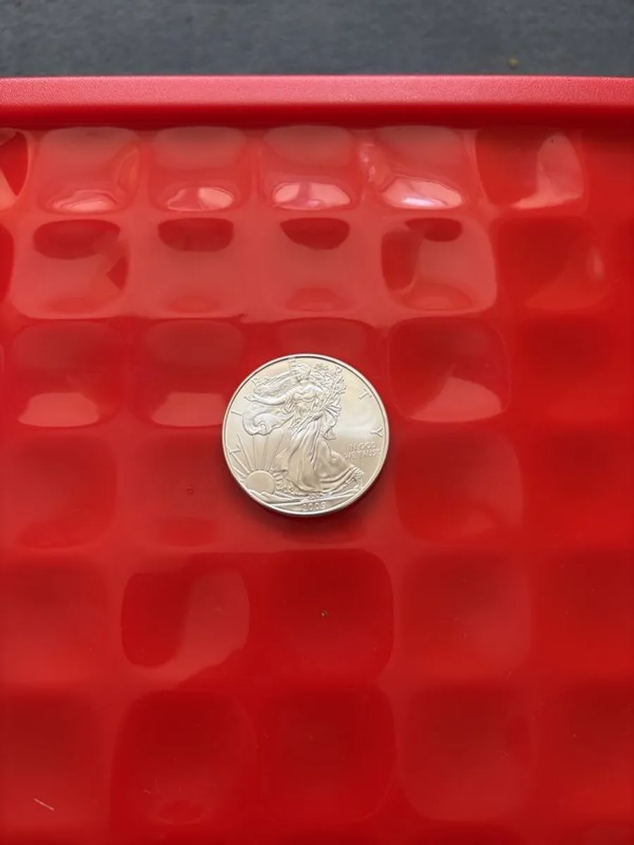 1oz liberty coins 20pcs in tube from United States Mint 2009 - Image 1