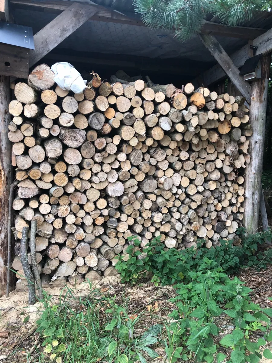Logs - Image 1