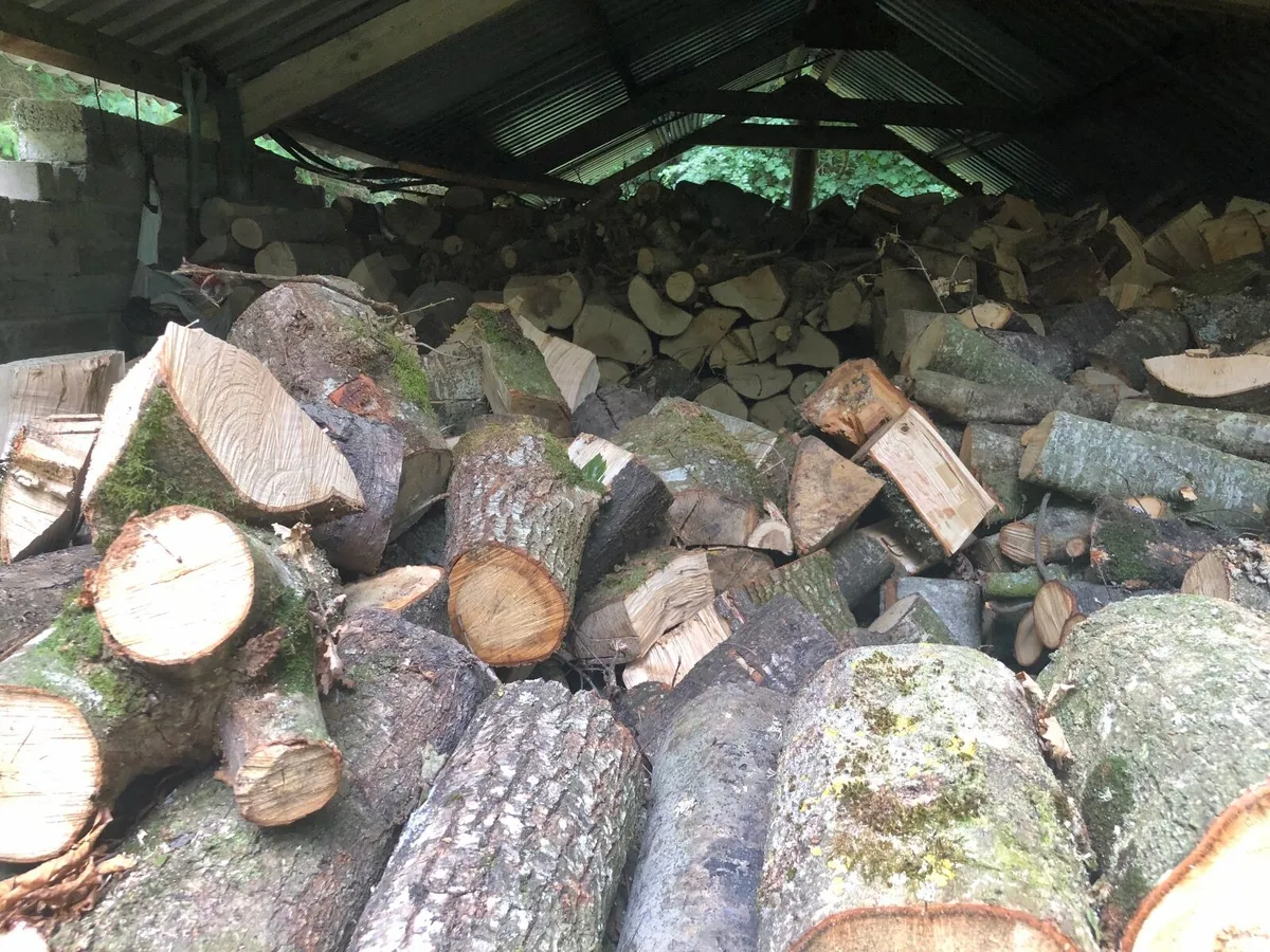 Logs - Image 3