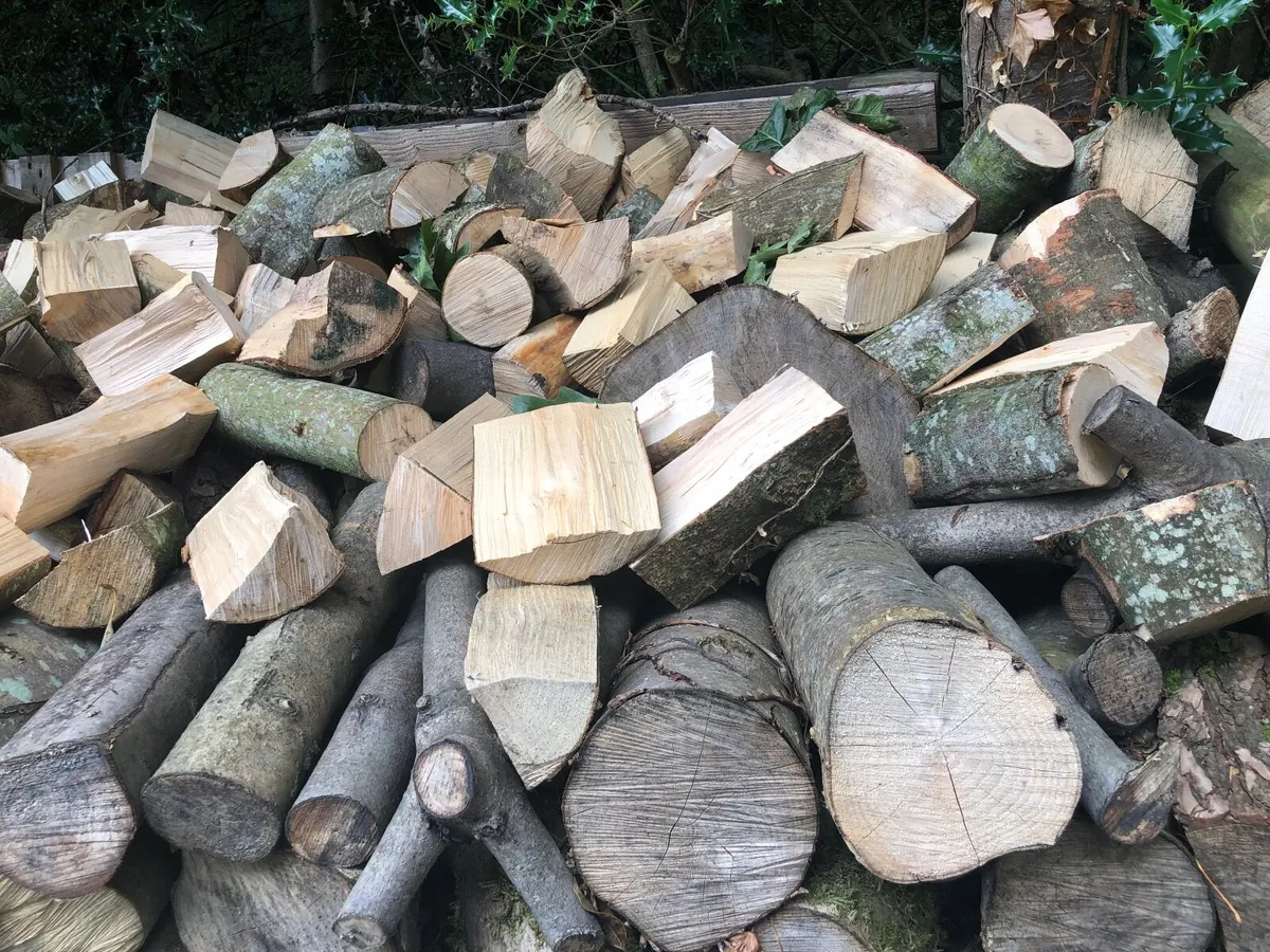Logs - Image 4