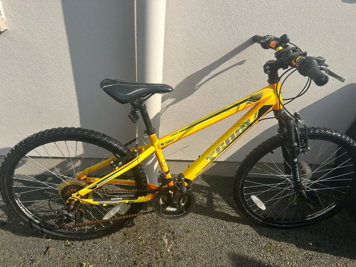 Team bike - Image 1