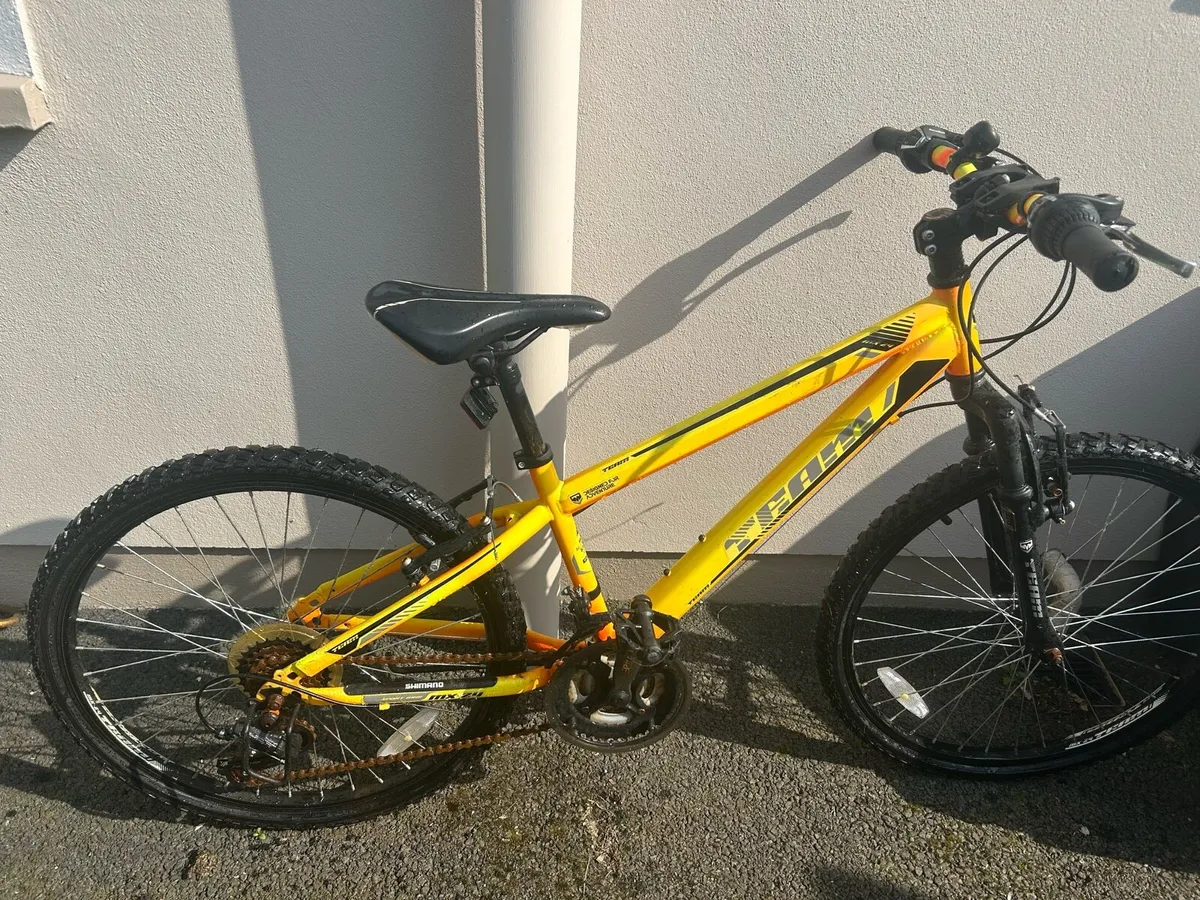 Team bike - Image 2