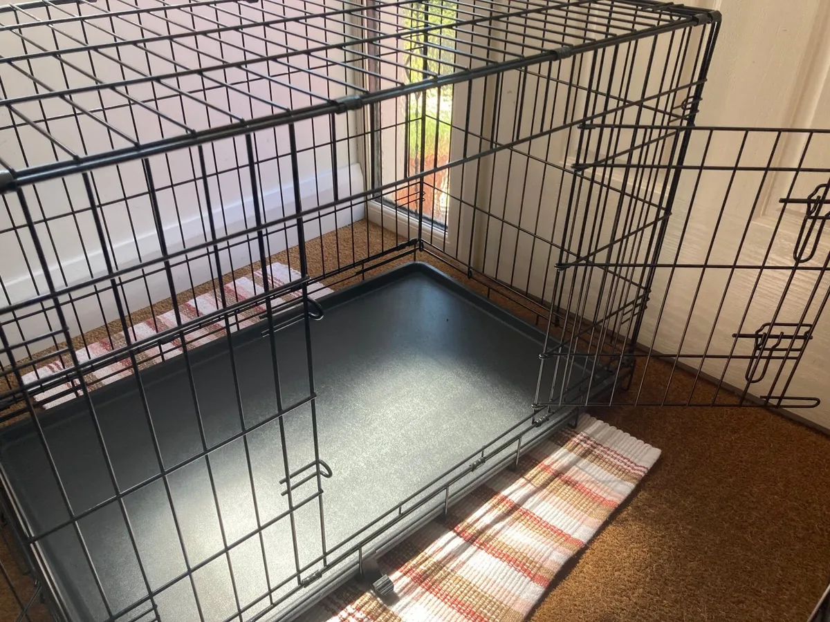 Dog Crate Large - Image 2