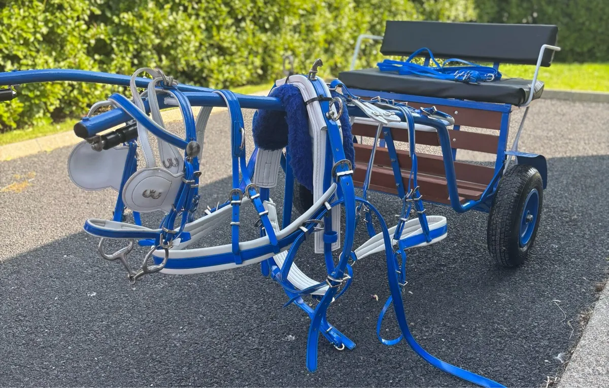 Shetland Road cart & Harness - Image 3