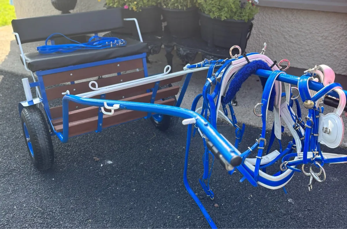 Shetland Road cart & Harness - Image 4