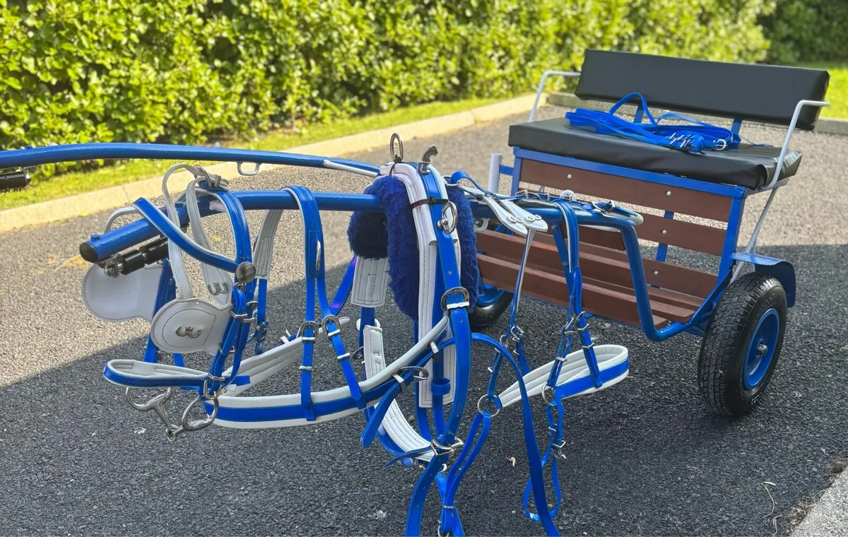 Shetland Road cart & Harness - Image 1