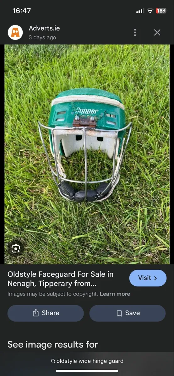 🚨 WANTED 🚨 oldstyle wide hinge guard - Image 3
