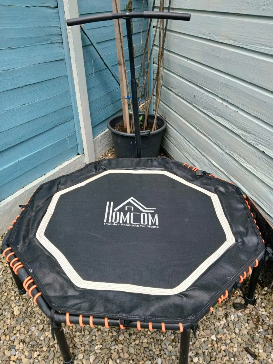 Rebounder - Image 2