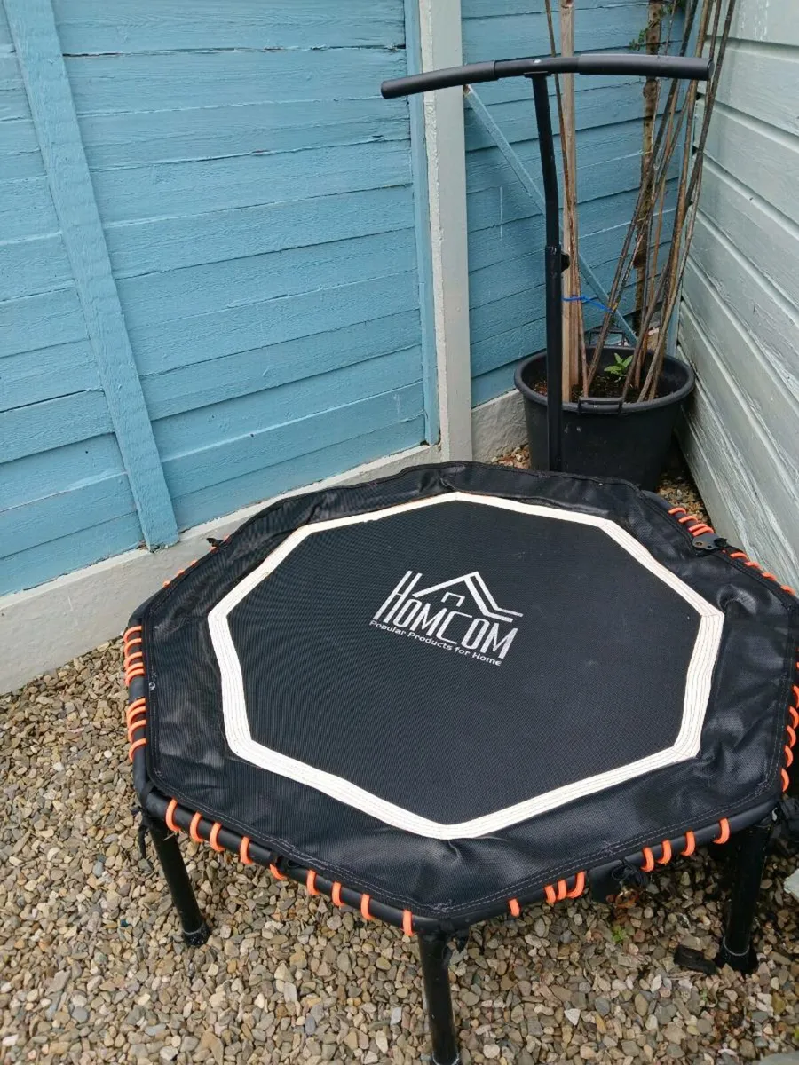 Rebounder - Image 3