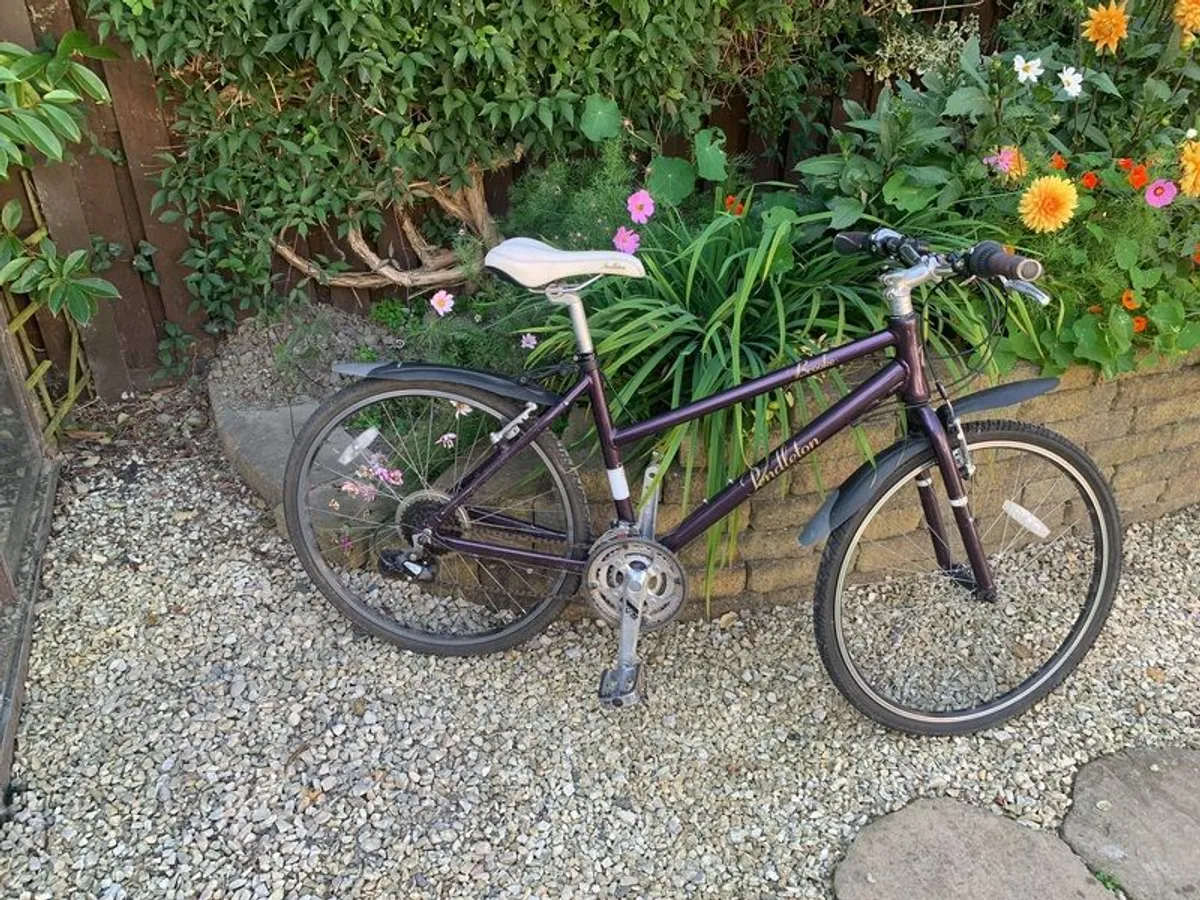 bike Ladies - Image 2