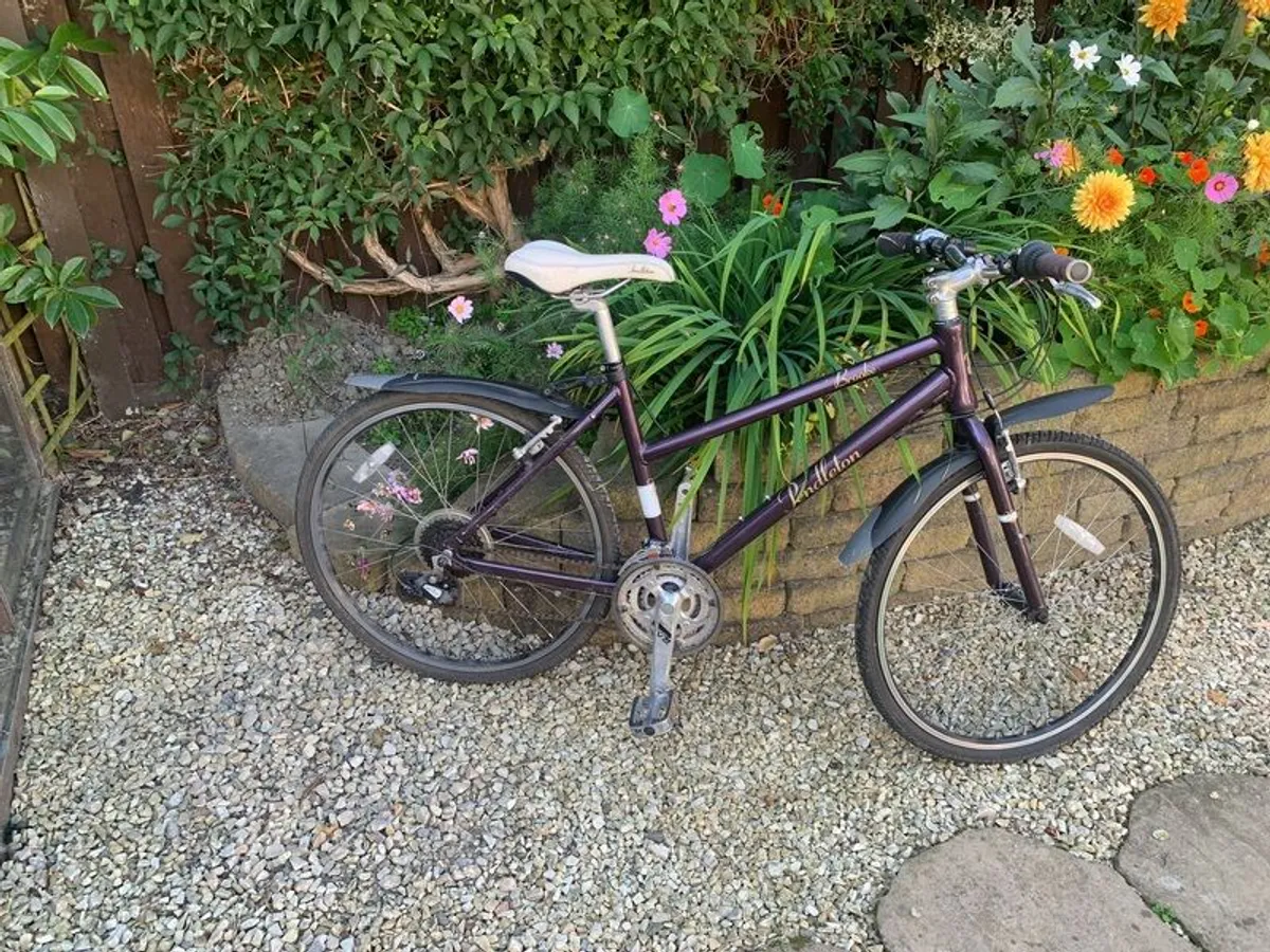 bike Ladies - Image 3