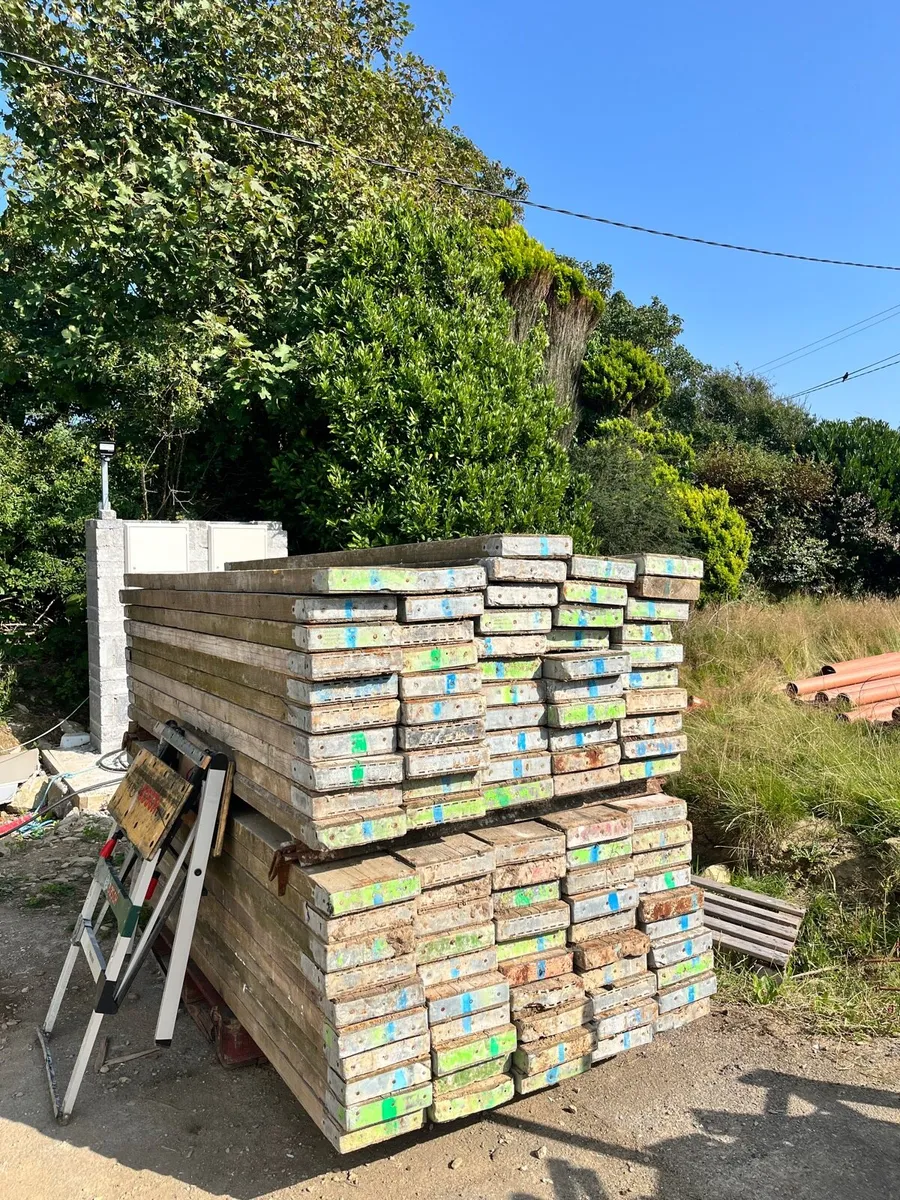 Scaffold - Image 4