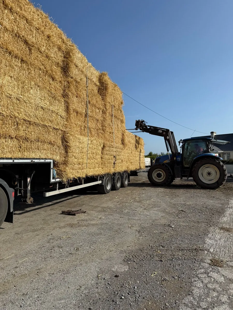Barley straw round 4x4 & 8x4x3 - Image 2