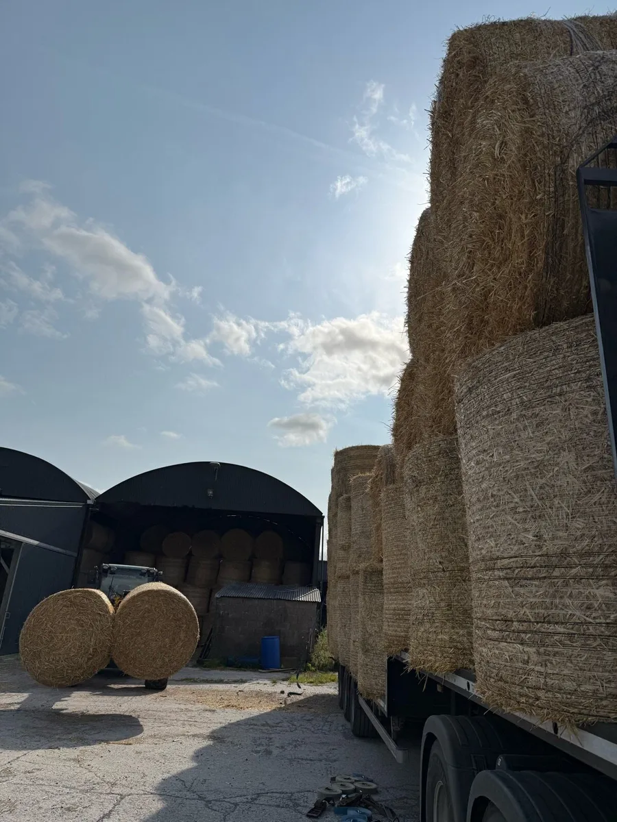 Barley straw round 4x4 & 8x4x3 - Image 4