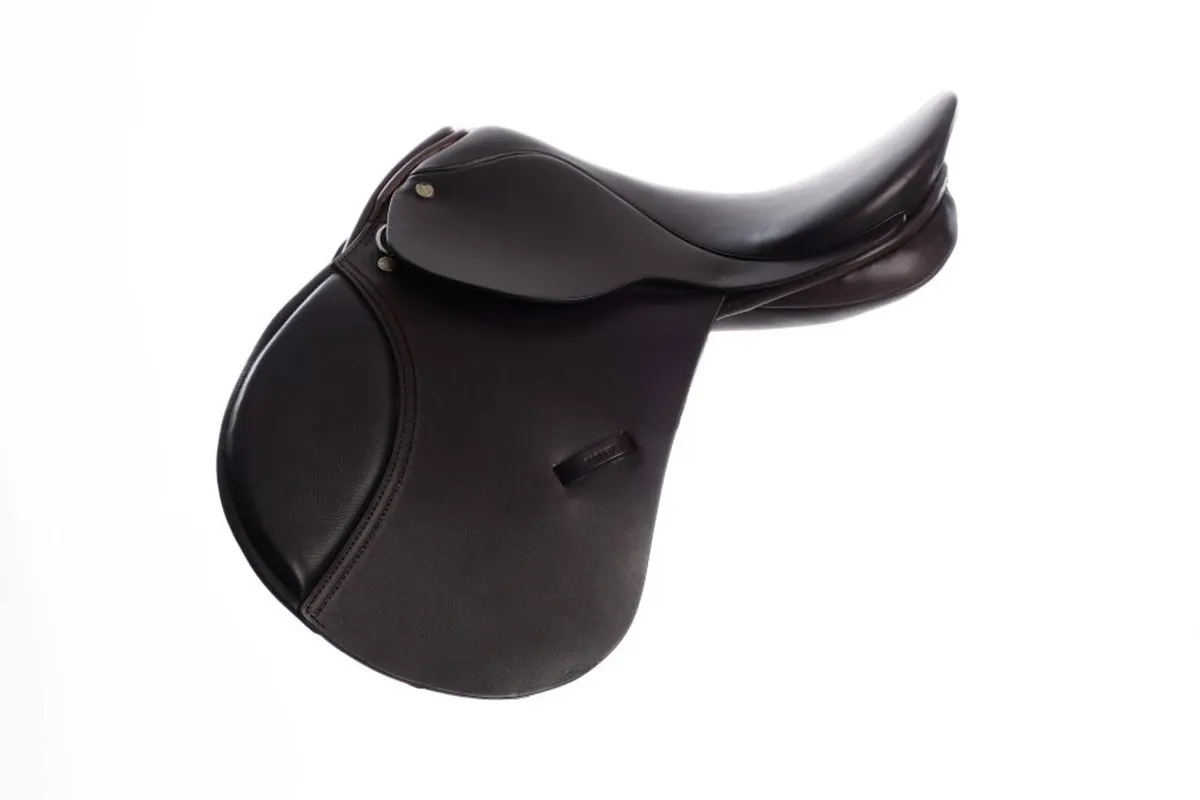WANTED Saddle
