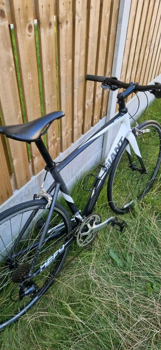 Flat bar giant road bike carbon fork (delivery) - Image 2