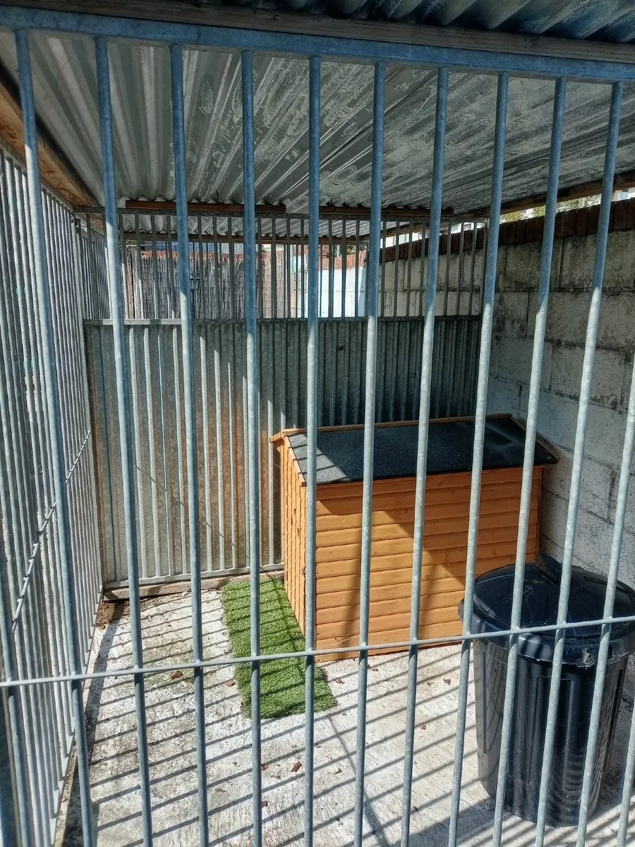 Dog kennels - Image 4