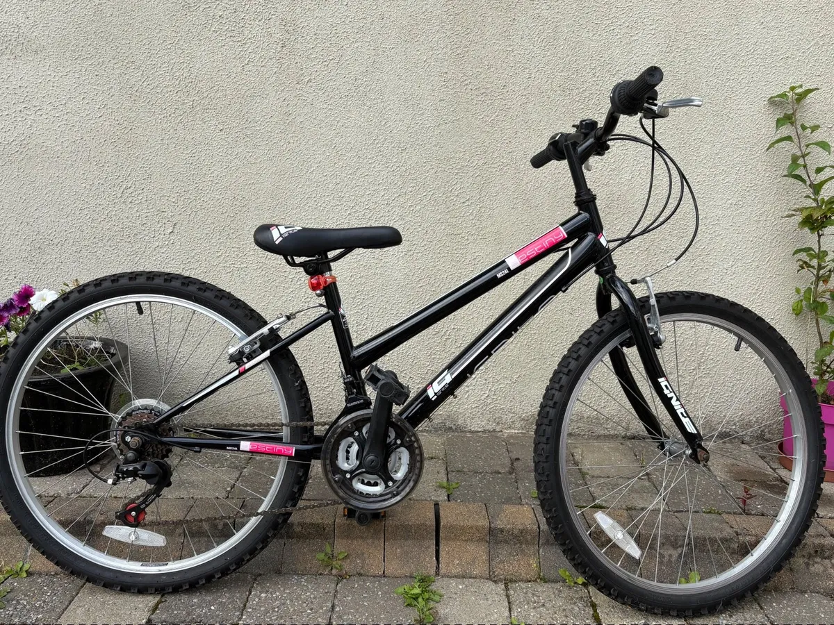 2 Girls bikes  22 inch wheels - Image 1