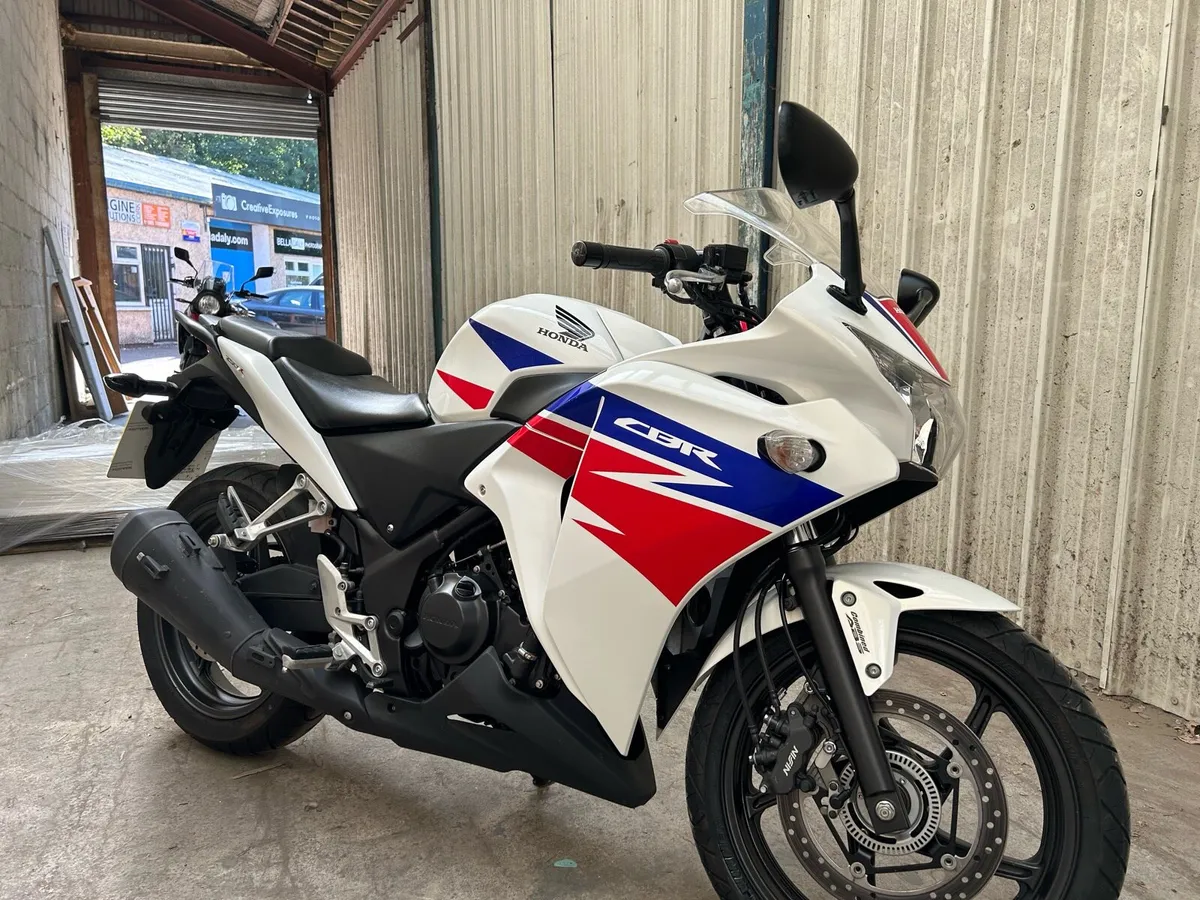 Honda CBR 250 - Image 3