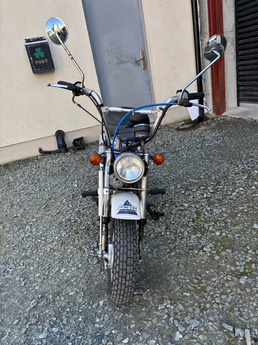 1979 Honda Monkey Z50J - Image 2