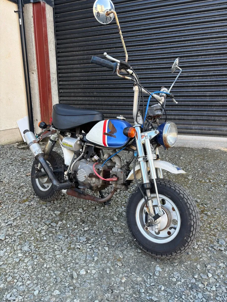 1979 Honda Monkey Z50J - Image 3