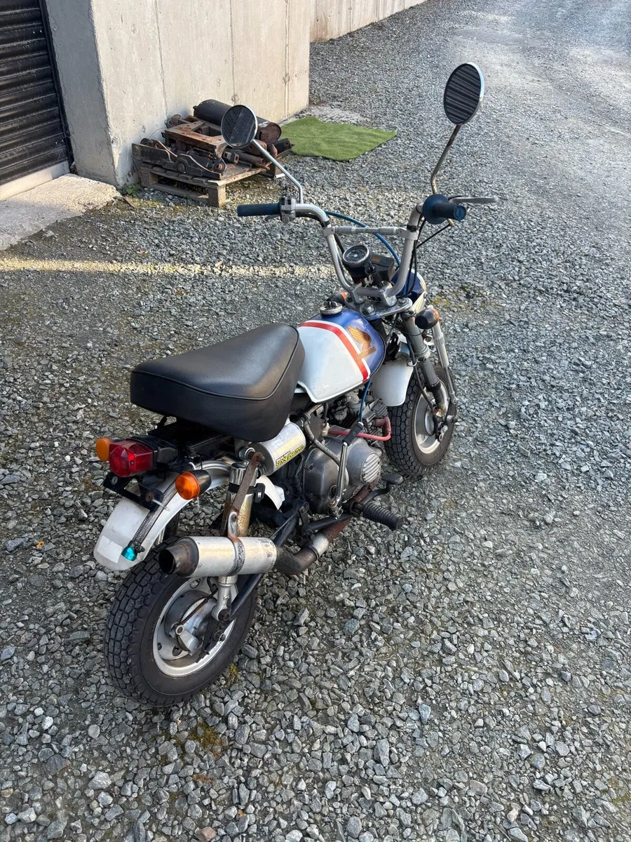 1979 Honda Monkey Z50J - Image 4