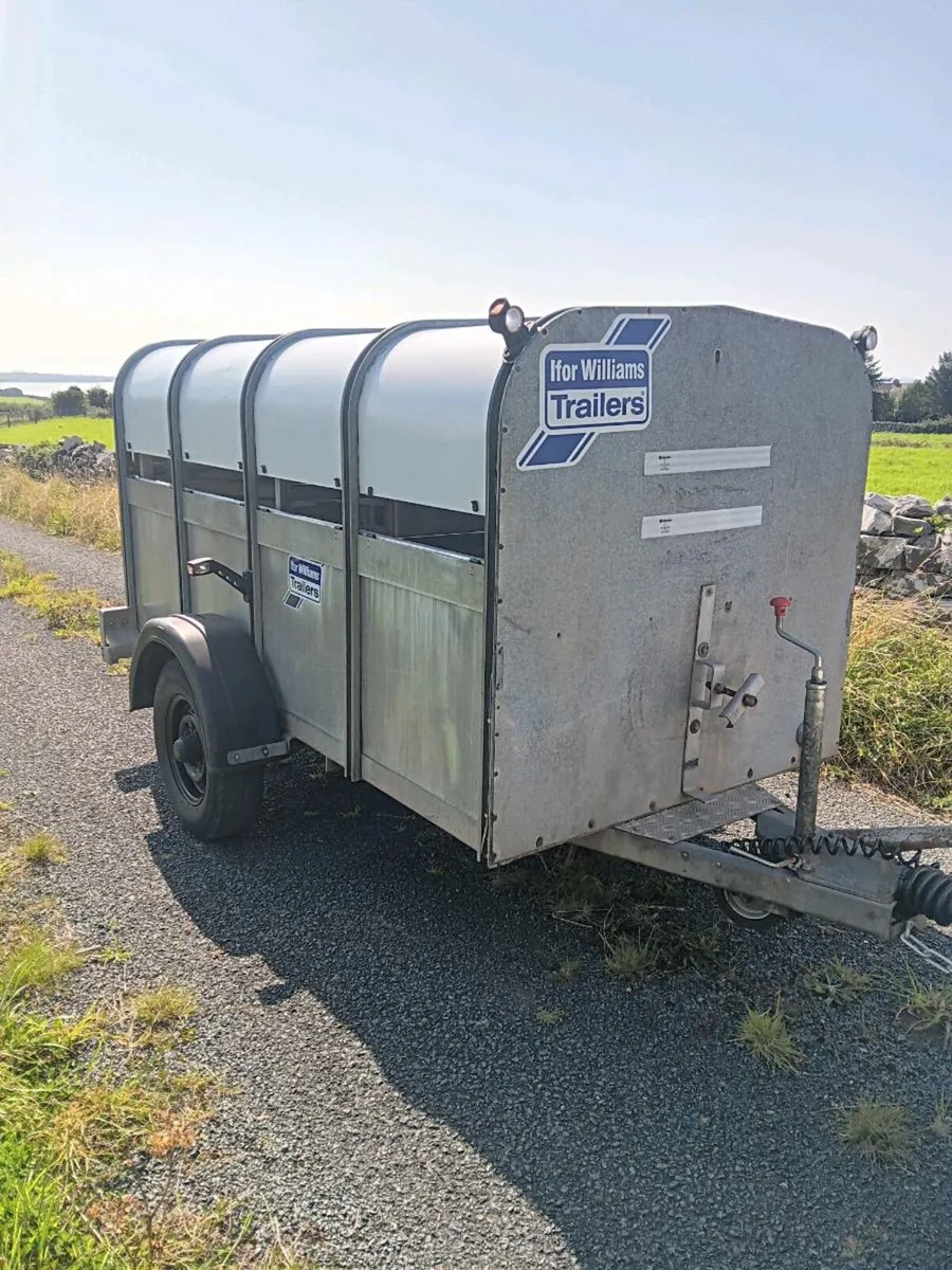 Ifor williams sheep trailer - Image 1