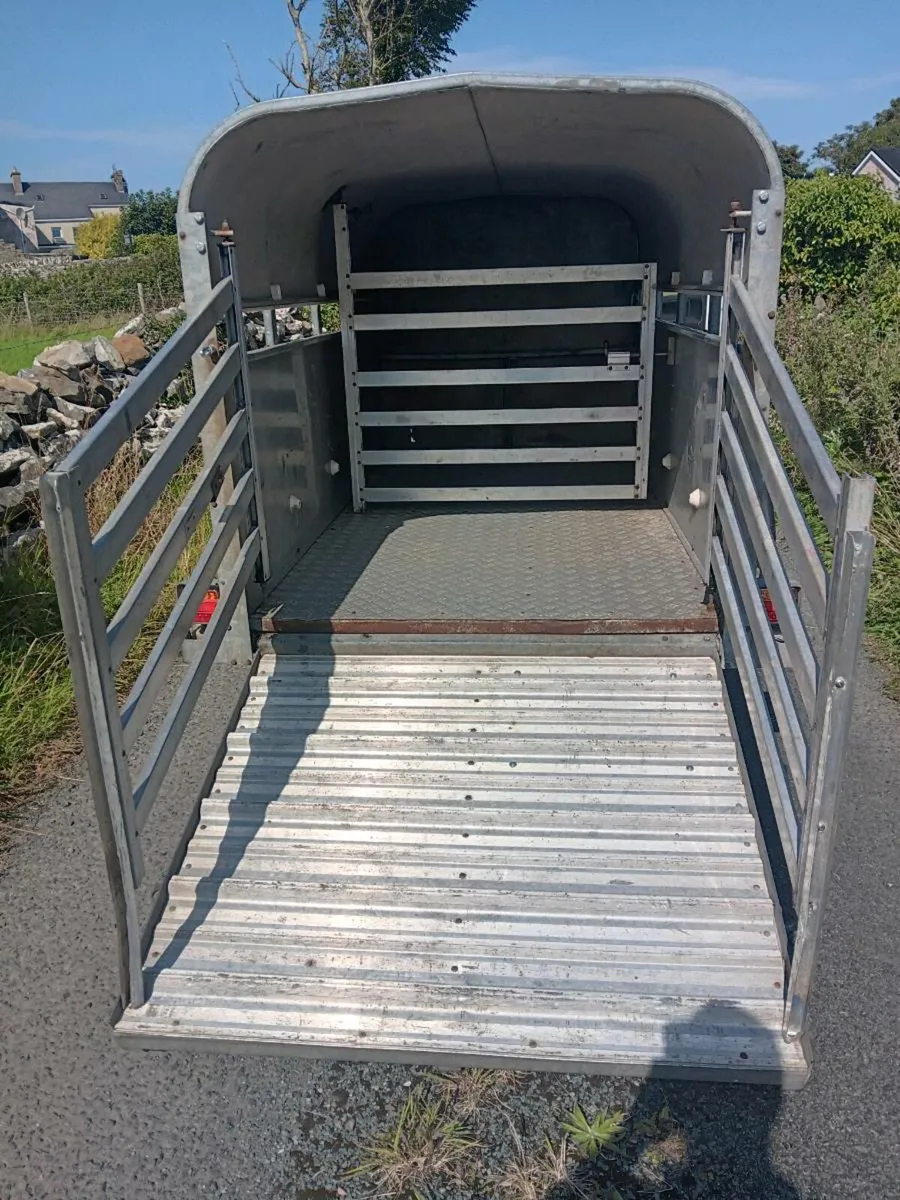 Ifor williams sheep trailer - Image 3