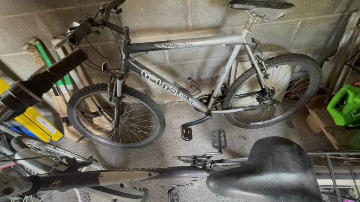 Cycling - Image 4
