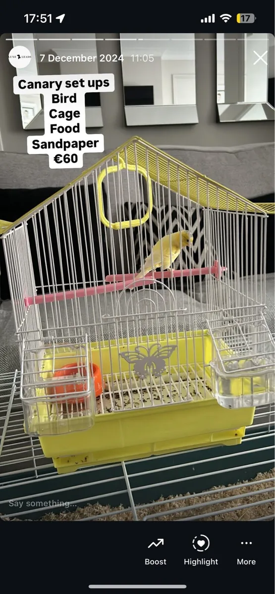 Closing stock pet stall - Image 1