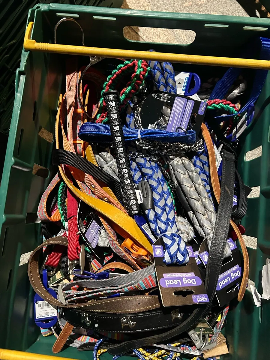 Closing stock pet stall - Image 4