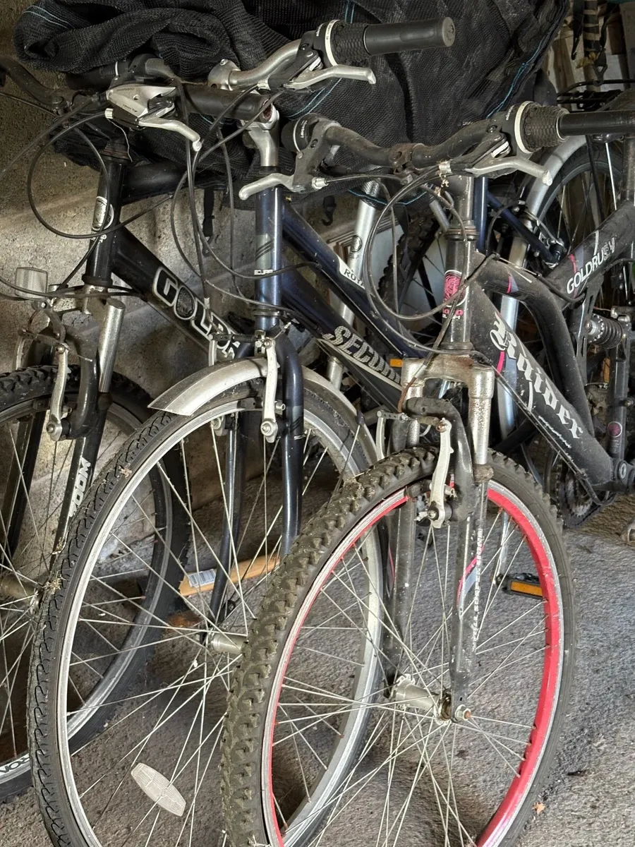 Cycling - Image 4