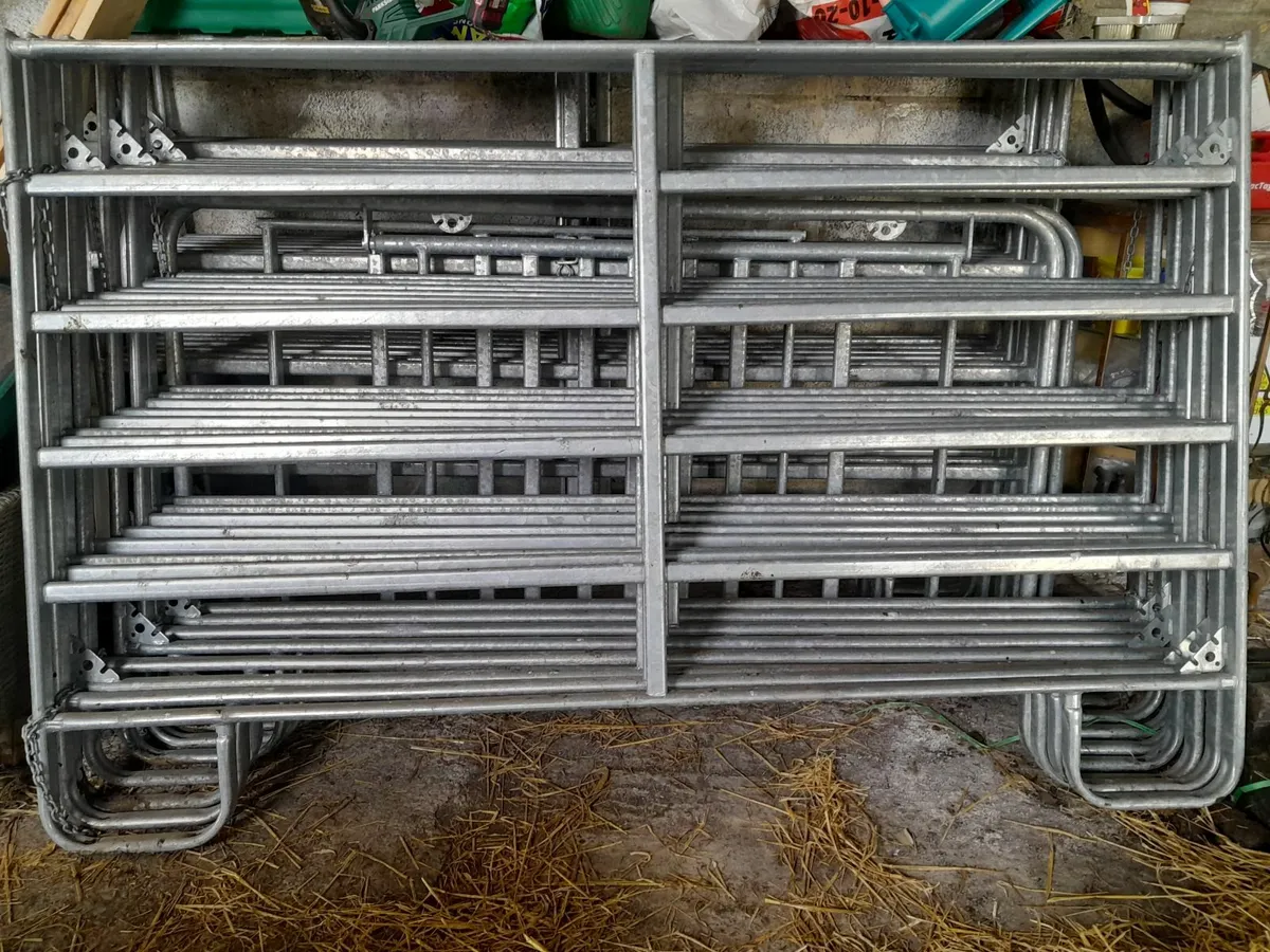 Cattle Loading Gates - Image 1