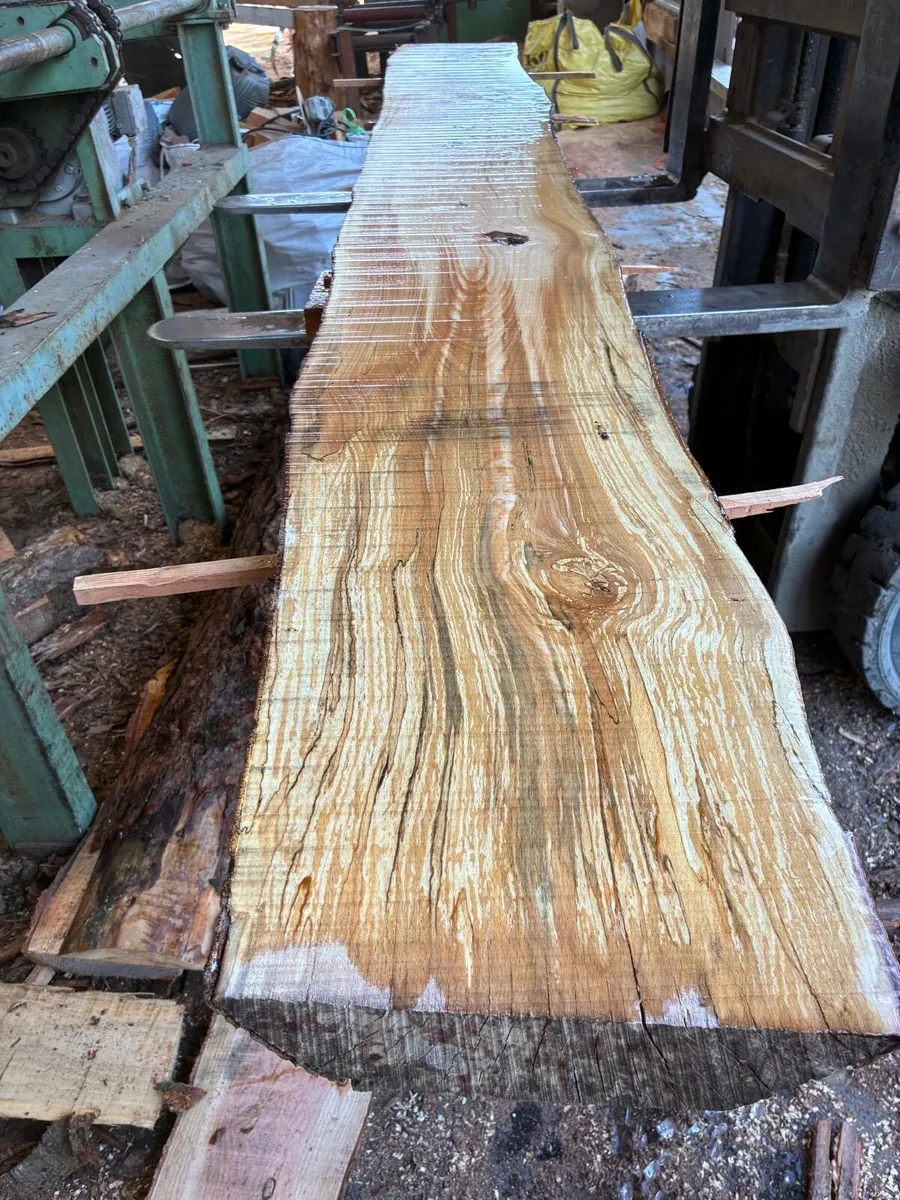 Beech planks - Image 1