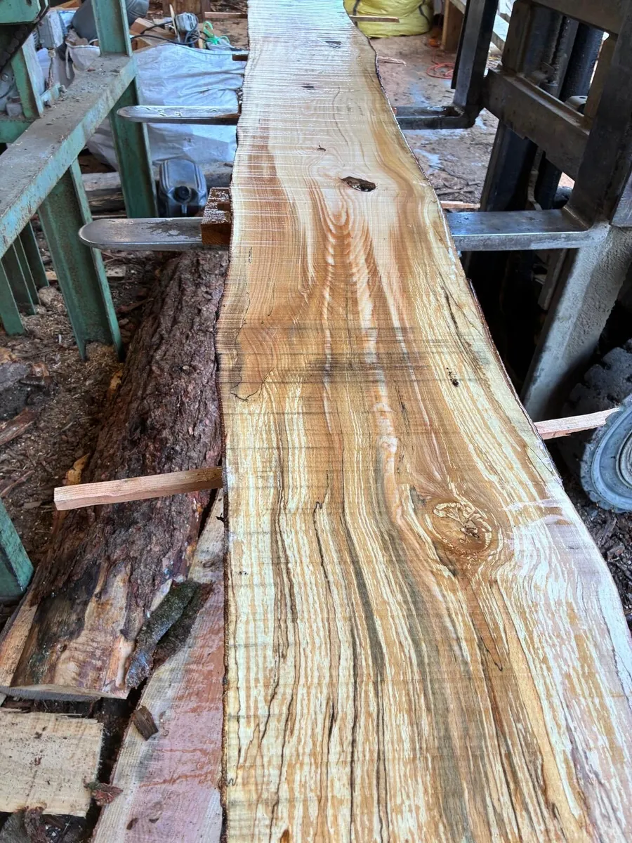 Beech planks - Image 2